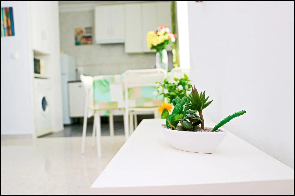 Apartamento Conil