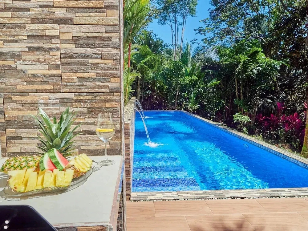 Villa Palmeras with jungle views pool near MA