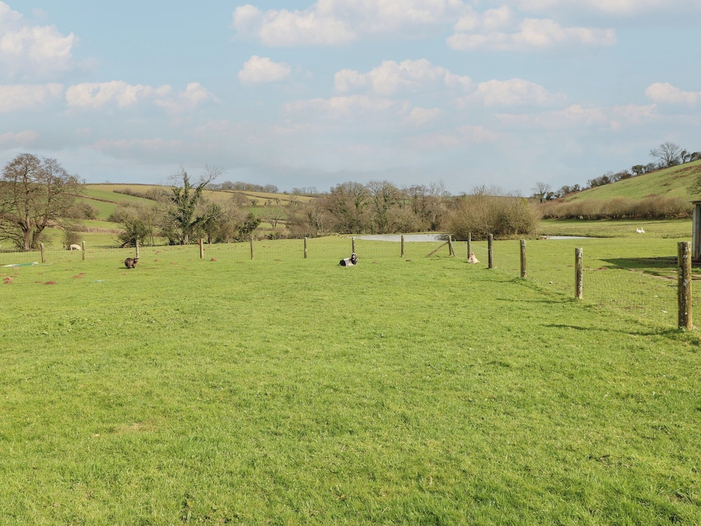 Meadow View