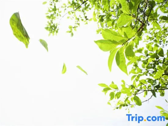 Xining Yunhui Homestay