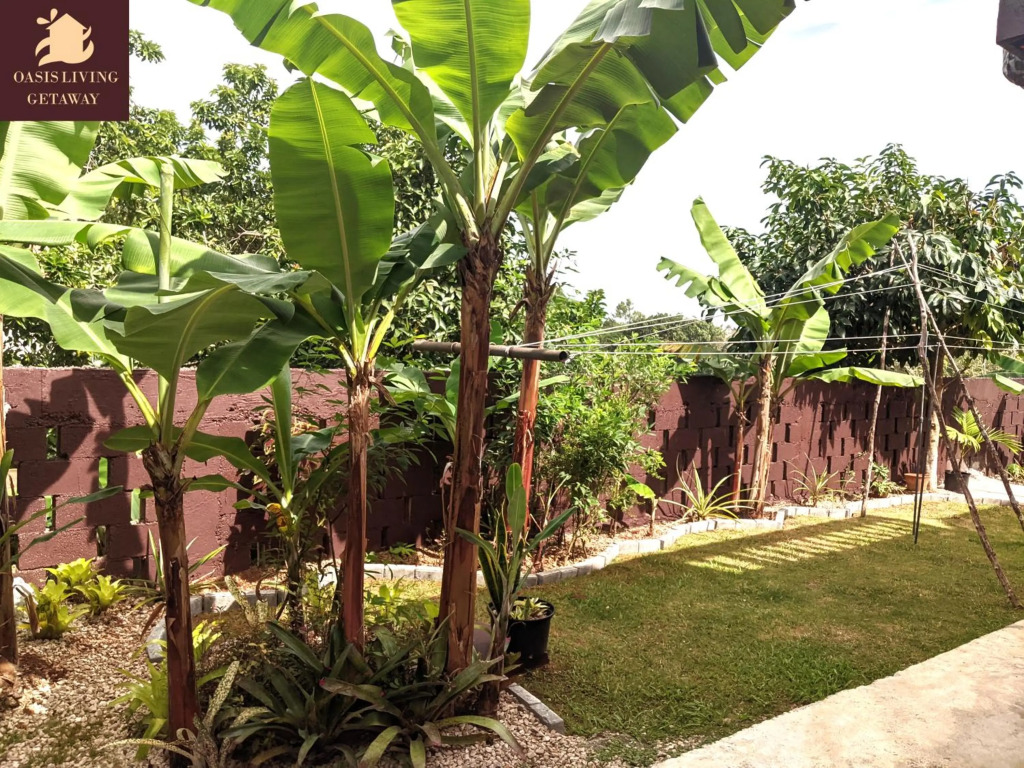 Oasis Living