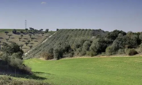 Quinta Da Mata