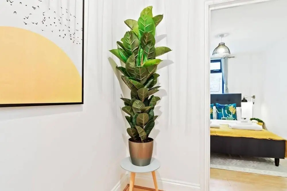 Bright 2 Bedroom House in Kennington
