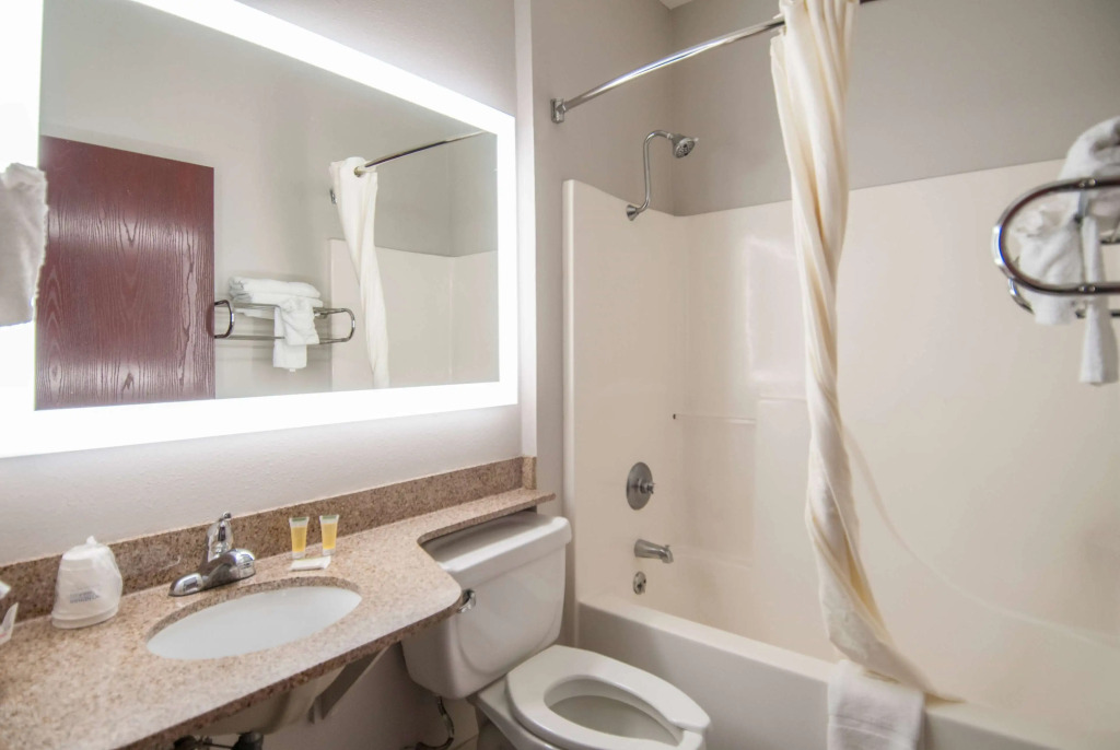 Microtel Inn and Suites Lafayette