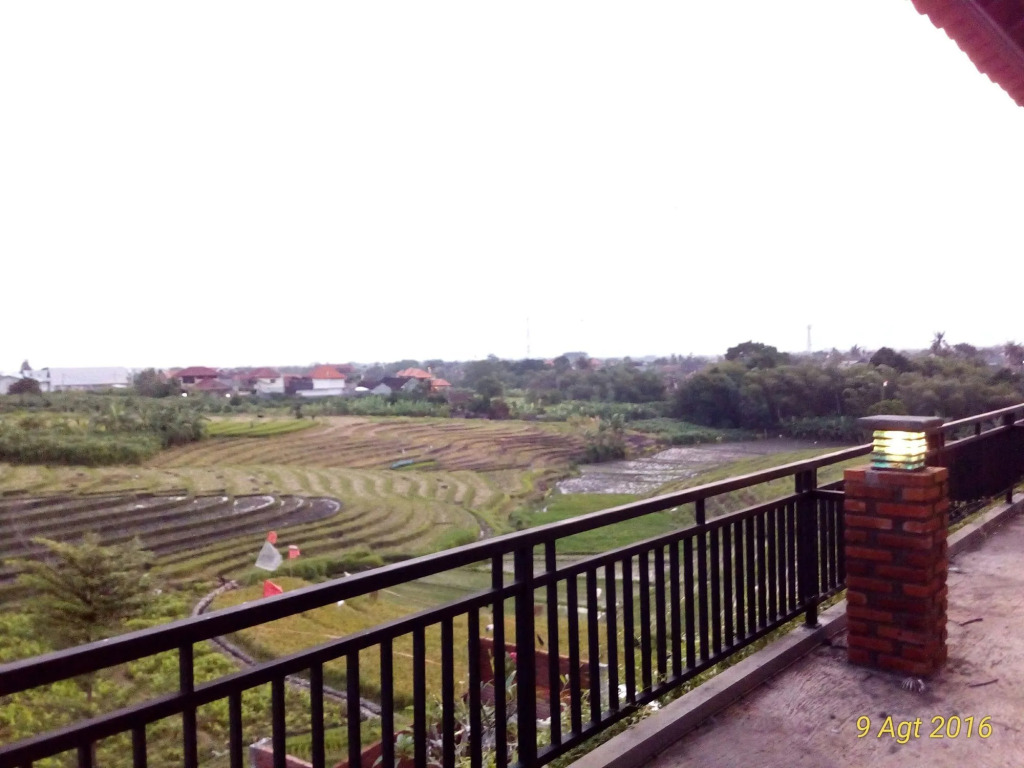 Grandpa Guest House