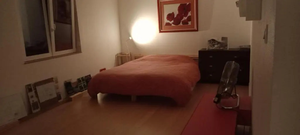 Loft avec Terrasse 77 M2 et 24 M2 STRASBOURG 2 à 6 couchages G Friendly