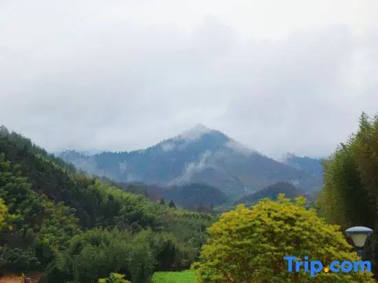 Yundu Lin'an Mountain Wild Resort Homestay (Daming Mountain Fengzhigu Branch)