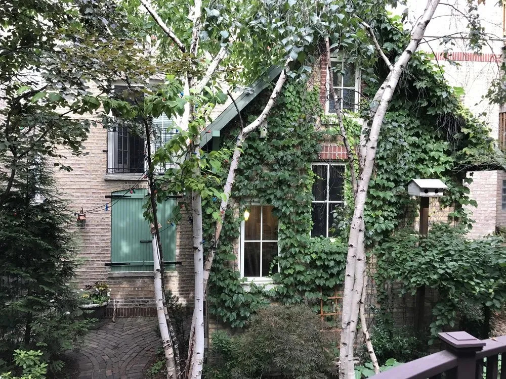 Magnolia Studios