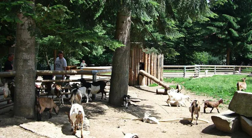 Pension Panorama