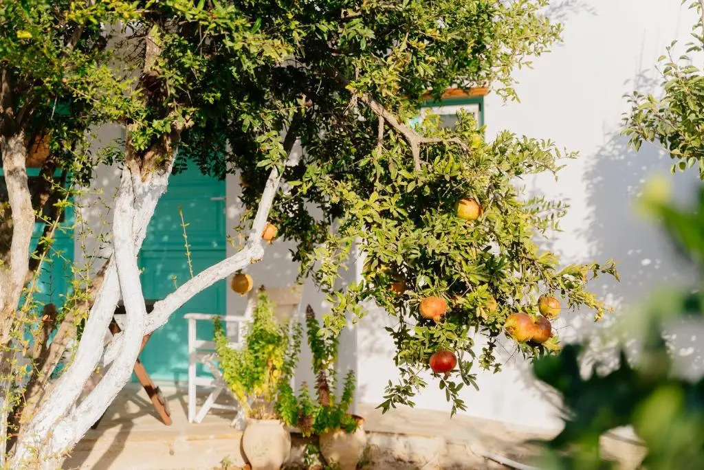 Xerolithia Guesthouse