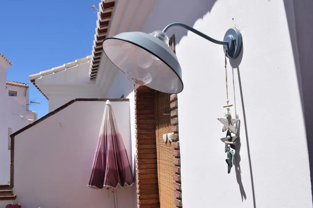 Olivo 15H