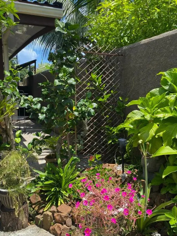 Tiki House