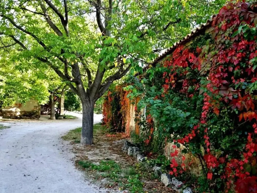 Casas Rurales Los Enebros Nerpio