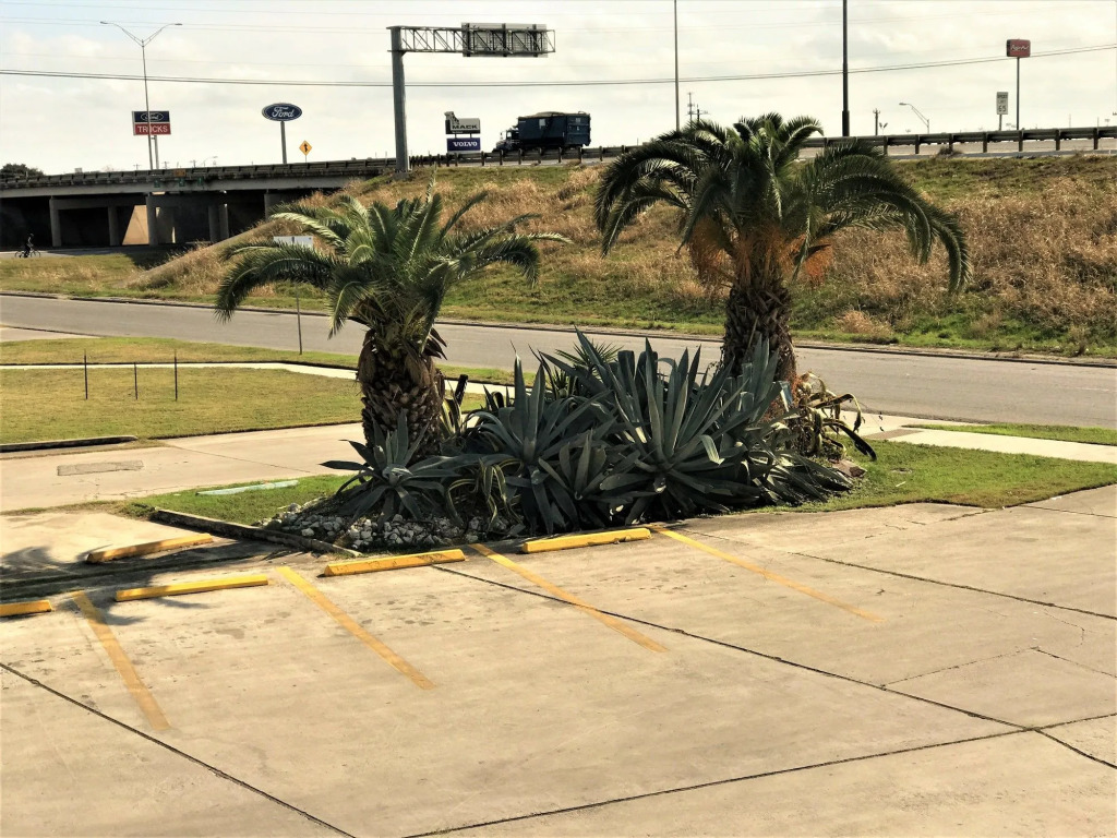 HomeTowne Studios by Red Roof San Antonio E - Frost Bank Center
