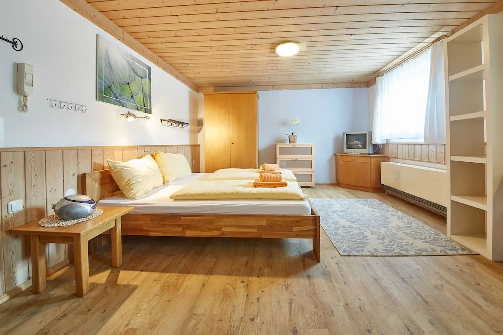 Living Apartments Saalbach incl Joker Card in Summer
