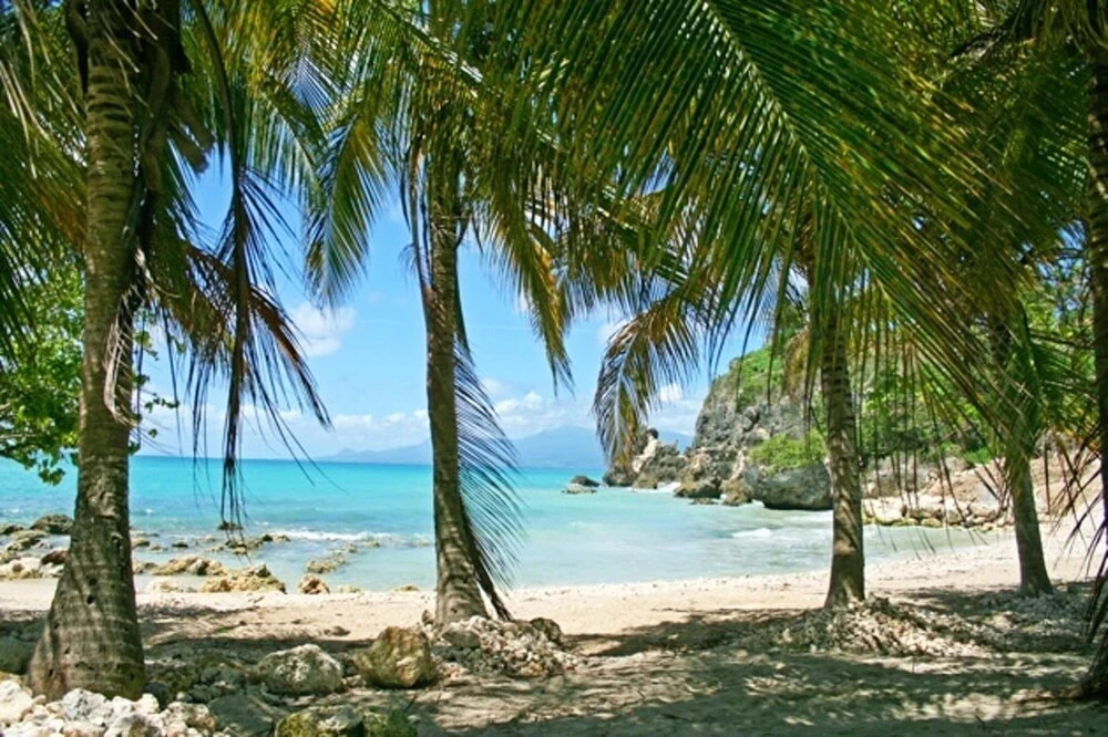House With 2 Bedrooms in Le Gosier, With Enclosed Garden and Wifi - 3 km From the Beach