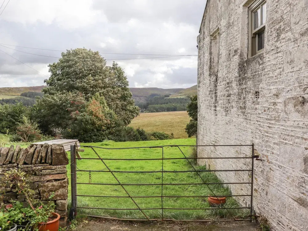 The Cow Shed