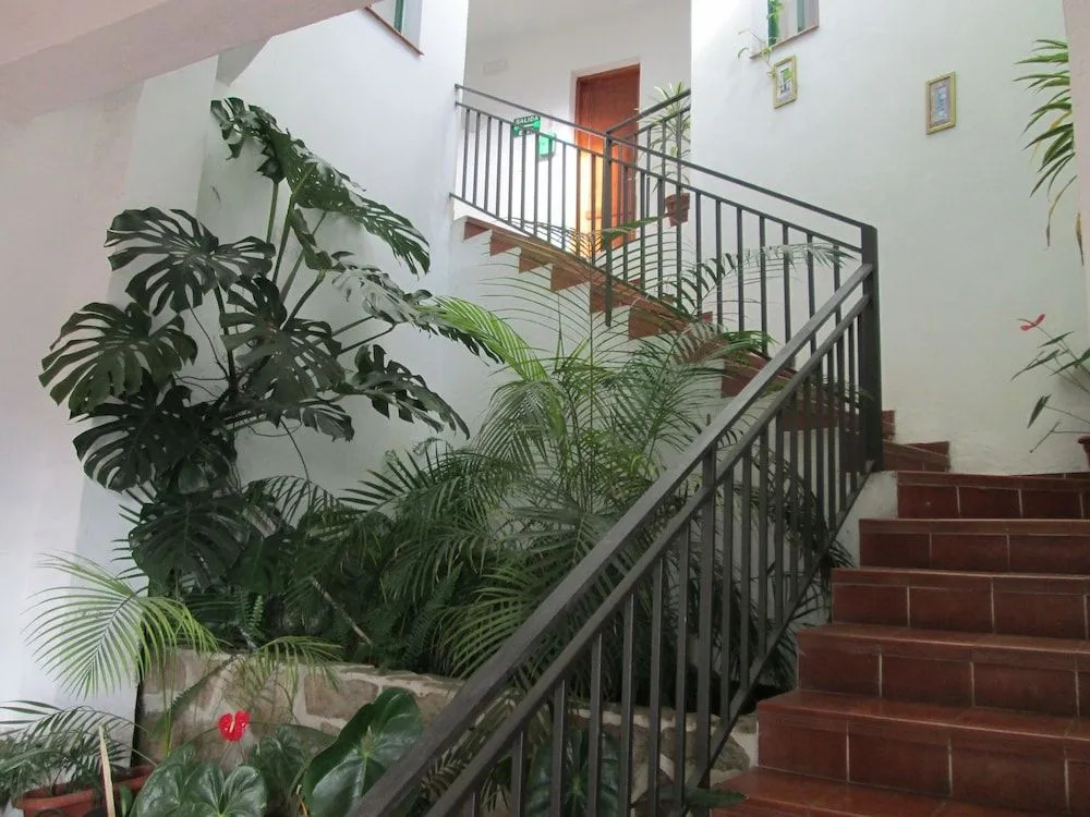 La Palma Hostel by Pension Central