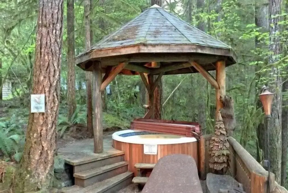 Mt Baker Lodging Cabin 25 - Sleeps 6