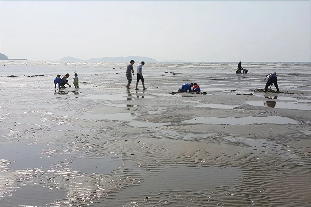 Taean Hilmare Pension