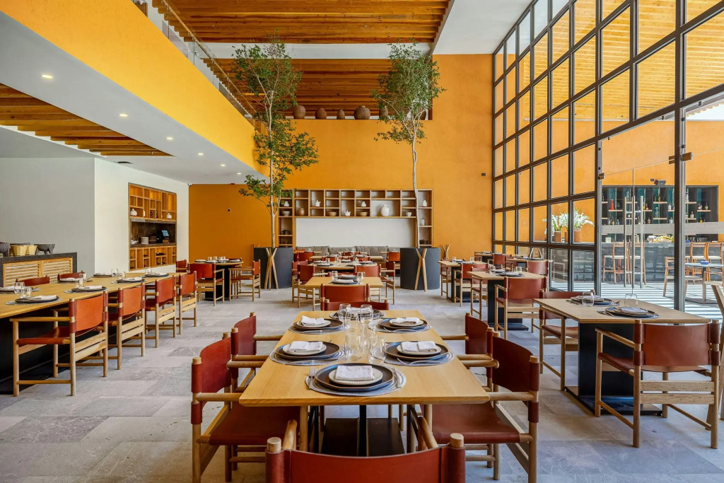Clevia, San Miguel de Allende, Autograph Collection