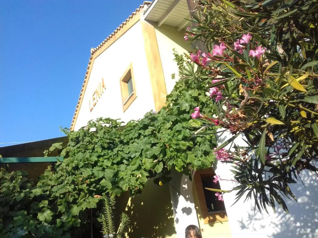 Lenia Studios