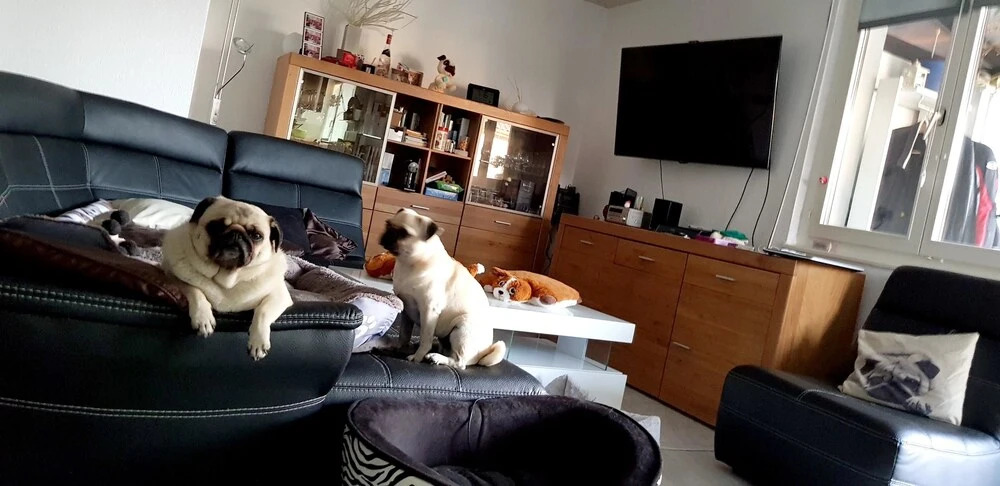 Apartment With 2 Bedrooms in Bevaix, With Wonderful Lake View, Pool Ac