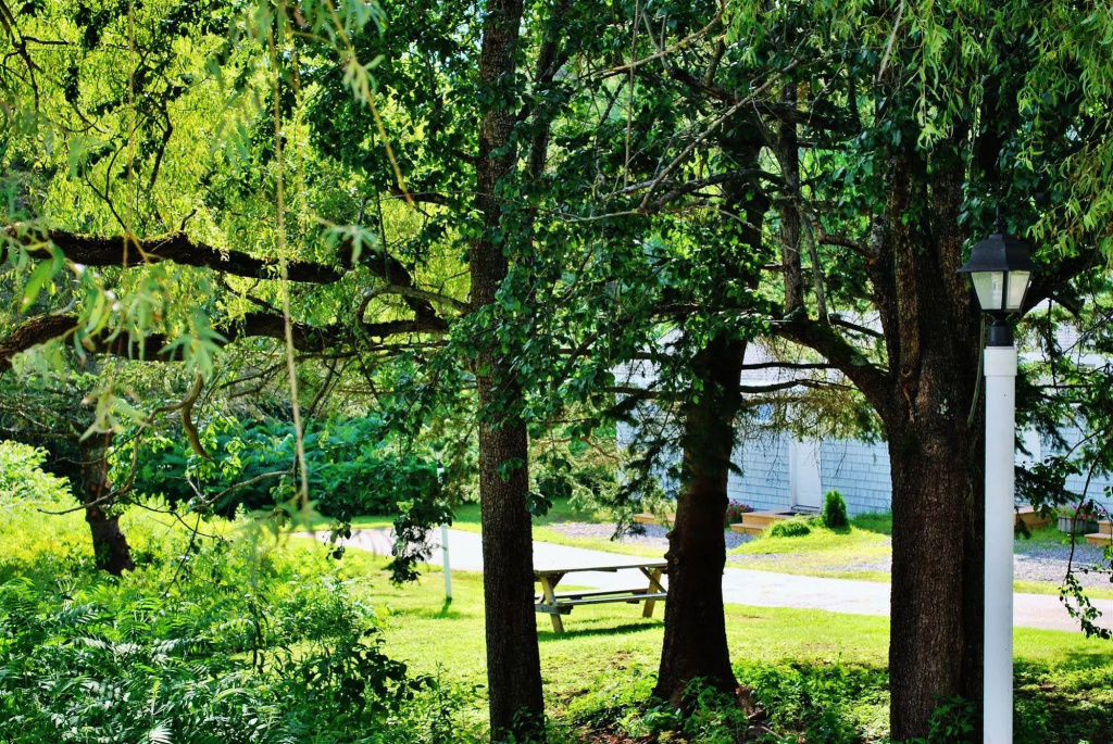White Anchor Inn