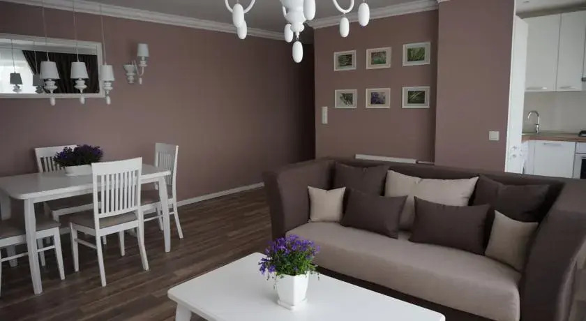 Central Apartament