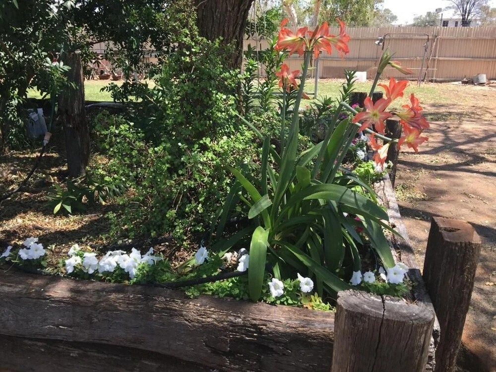 Club Boutique Hotel Cunnamulla