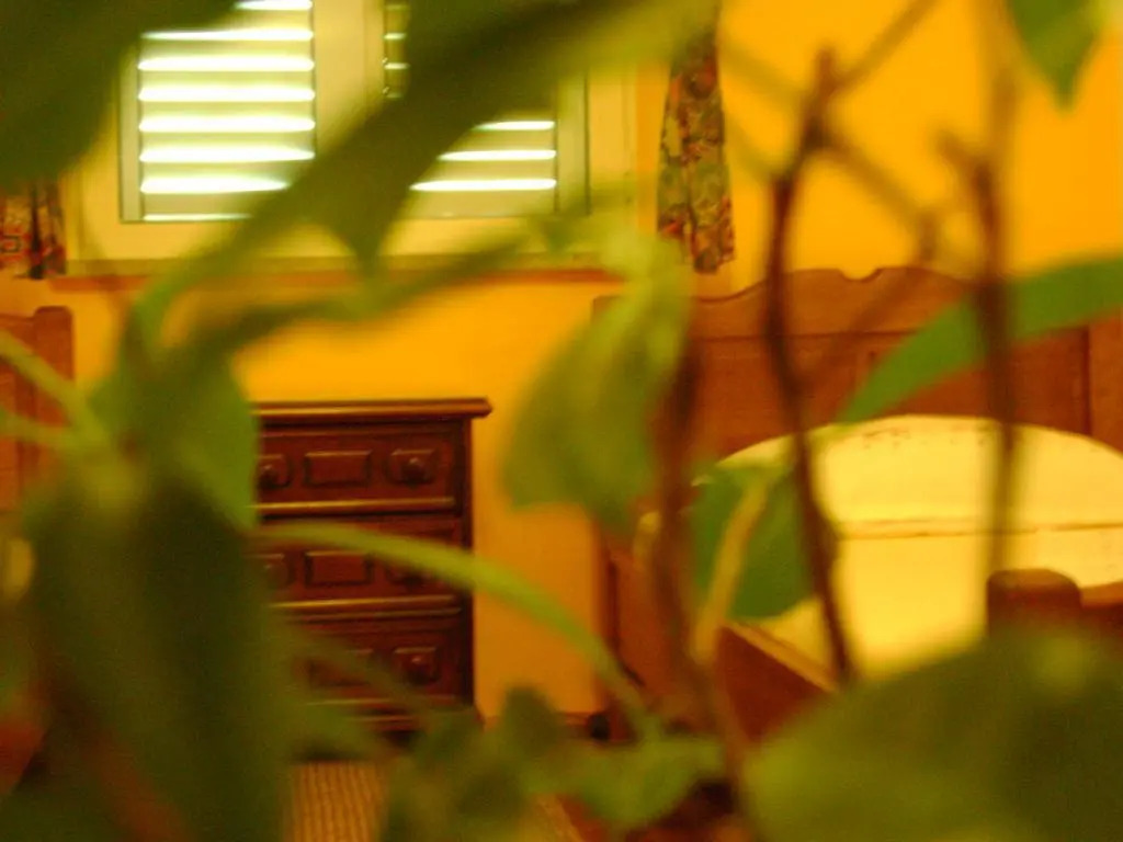 Guest House Marijana