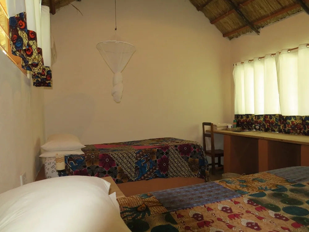 Croc Valley Camp