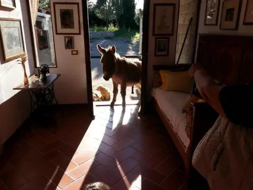 Bed and Breakfast da Lucia