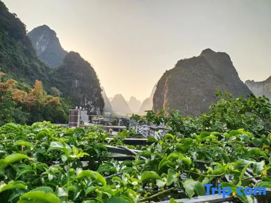 Yangshuo Yi8 Boutique Homestay (Yangshuo Eternal Love Scenic Area)