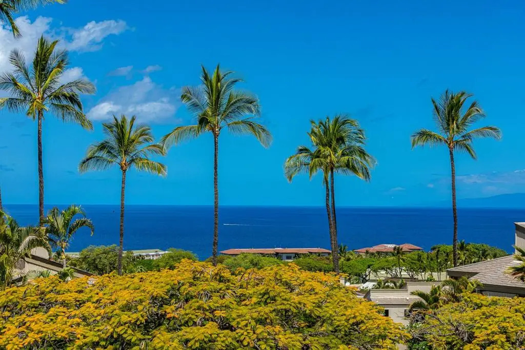 Wailea Ekolu #607