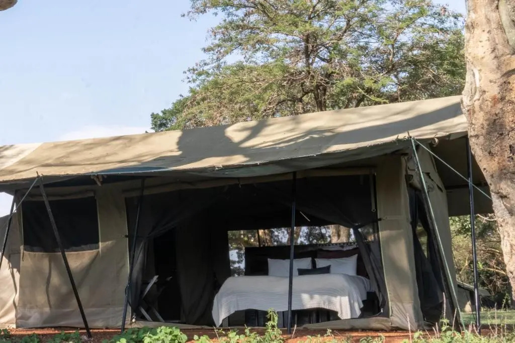 Basecamp Adventure