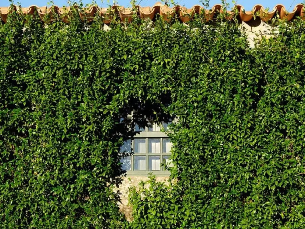Cozy Mansion in Ponte de Lima With Pool
