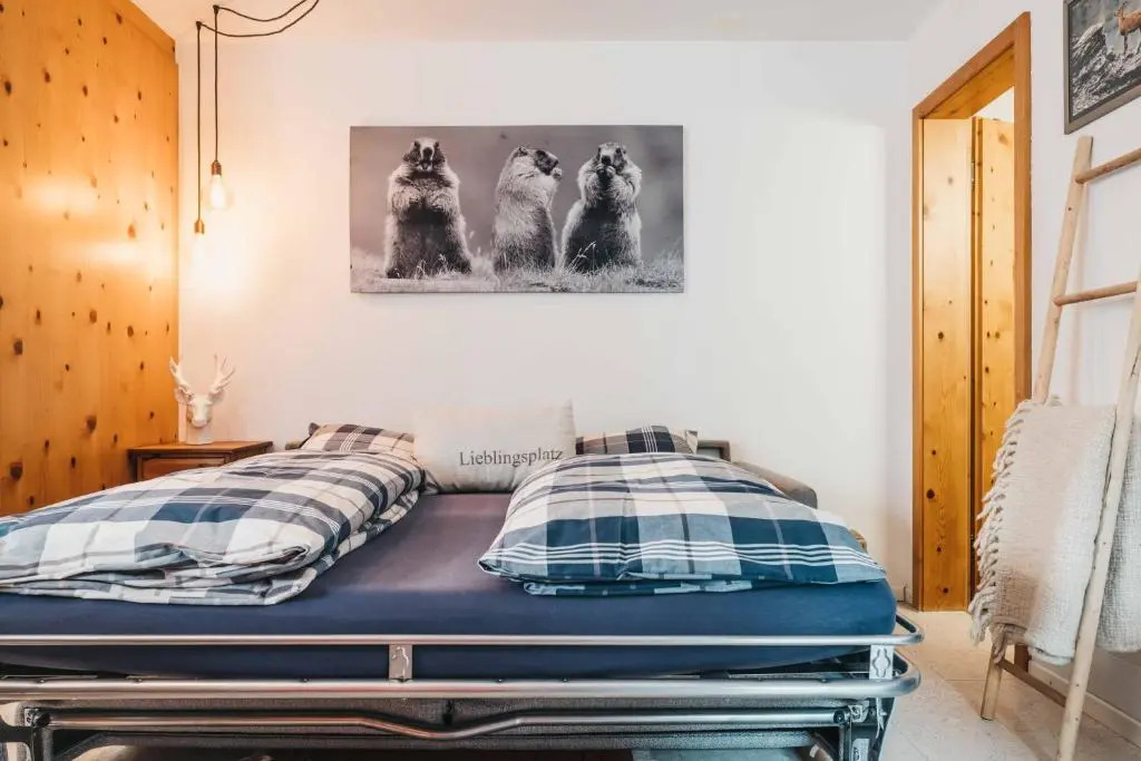 Charming 4 bed flat in Flims