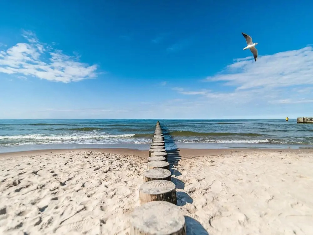 Holiday Cottages, Sauna, Whirlpool, Mrzezyno