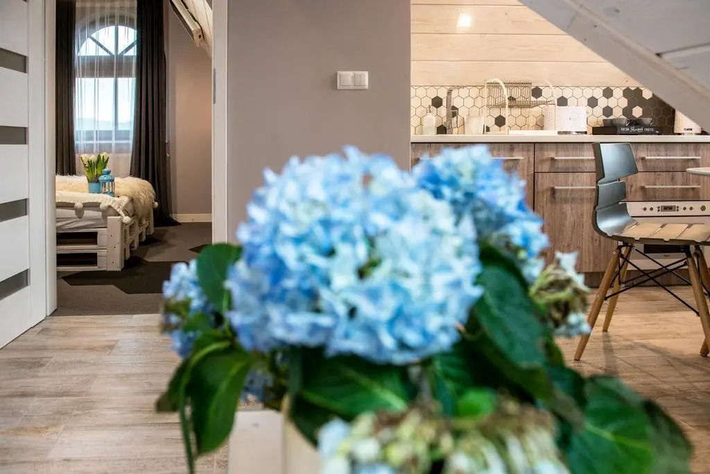 Silverton -sauna,jacuzzi,mini siłownia,bar sezonowy, przyjazny rodzinom