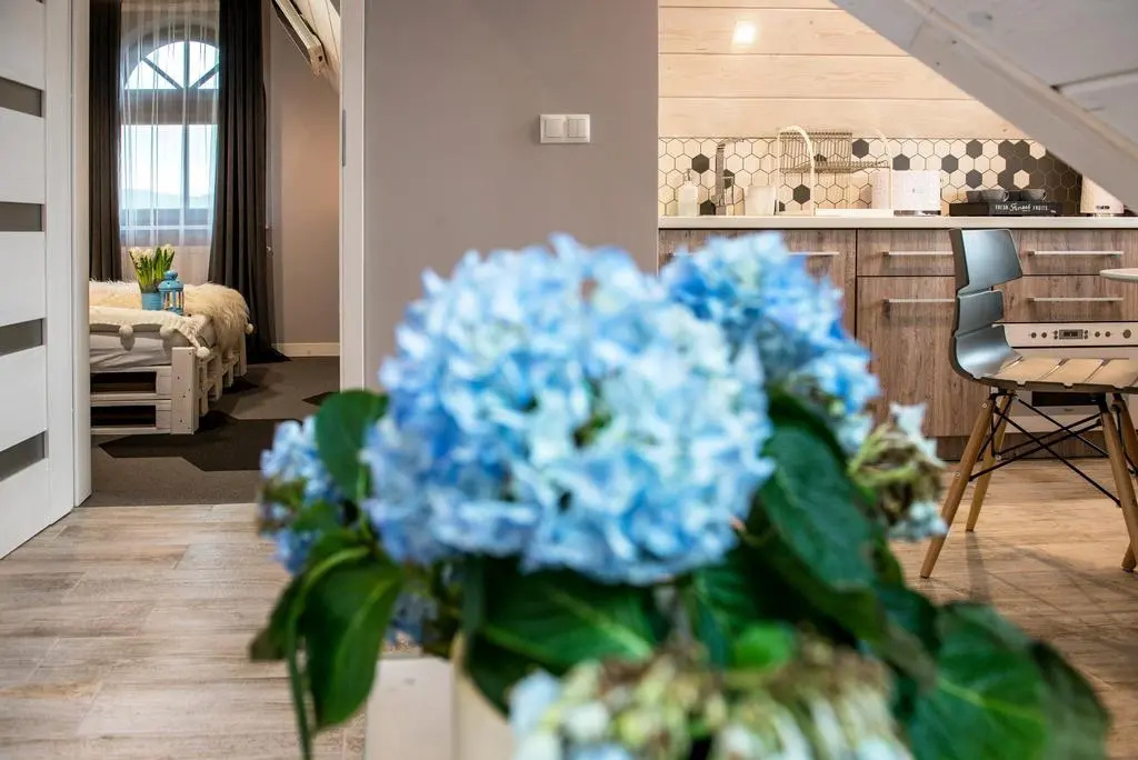 Silverton -sauna,jacuzzi,mini siłownia,bar sezonowy, przyjazny rodzinom