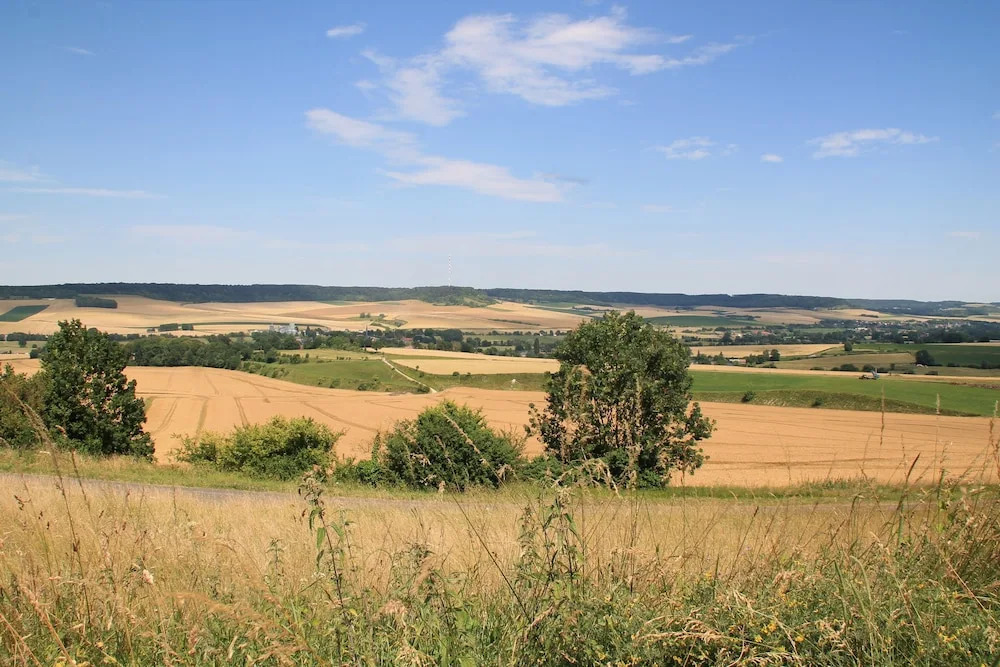 Le Haut Mesnil - 8