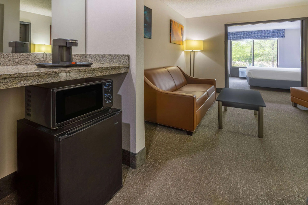 Wingate by Wyndham Atlanta Galleria/ Ballpark