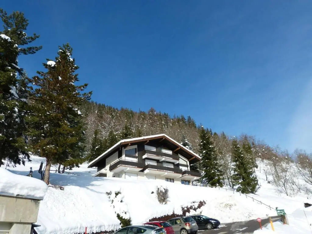 Appartement La Clusaz, 2 pièces, 4 personnes - FR-1-304-105