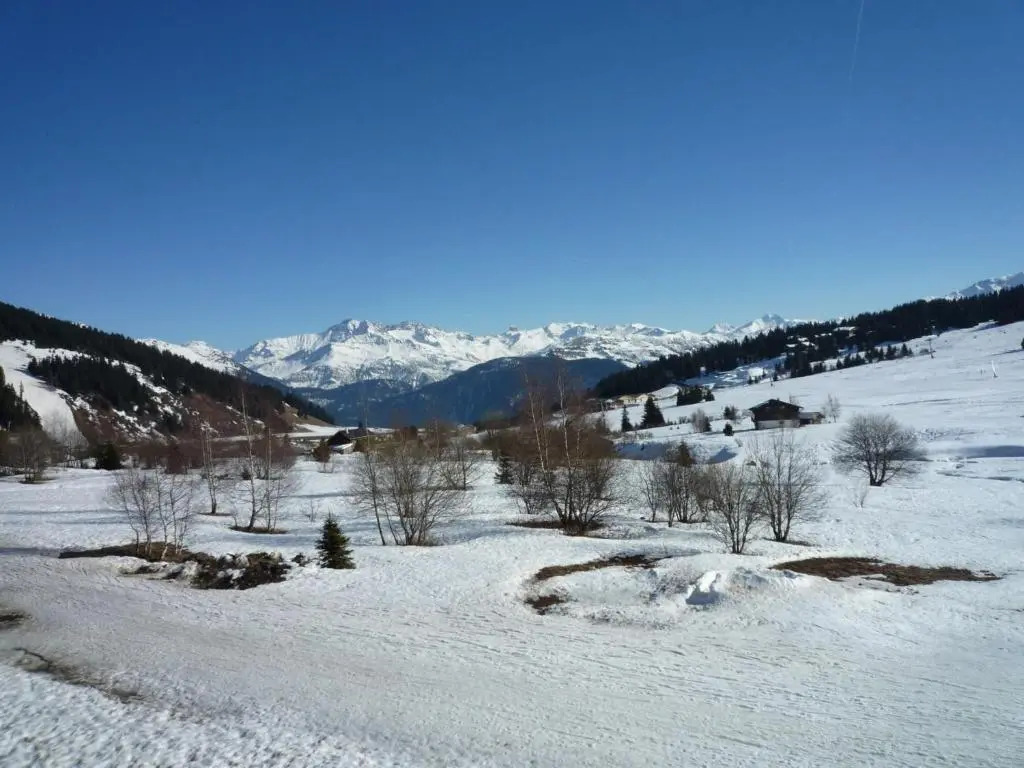 Appartement Les Saisies, 4 pièces, 9 personnes - FR-1-293-255