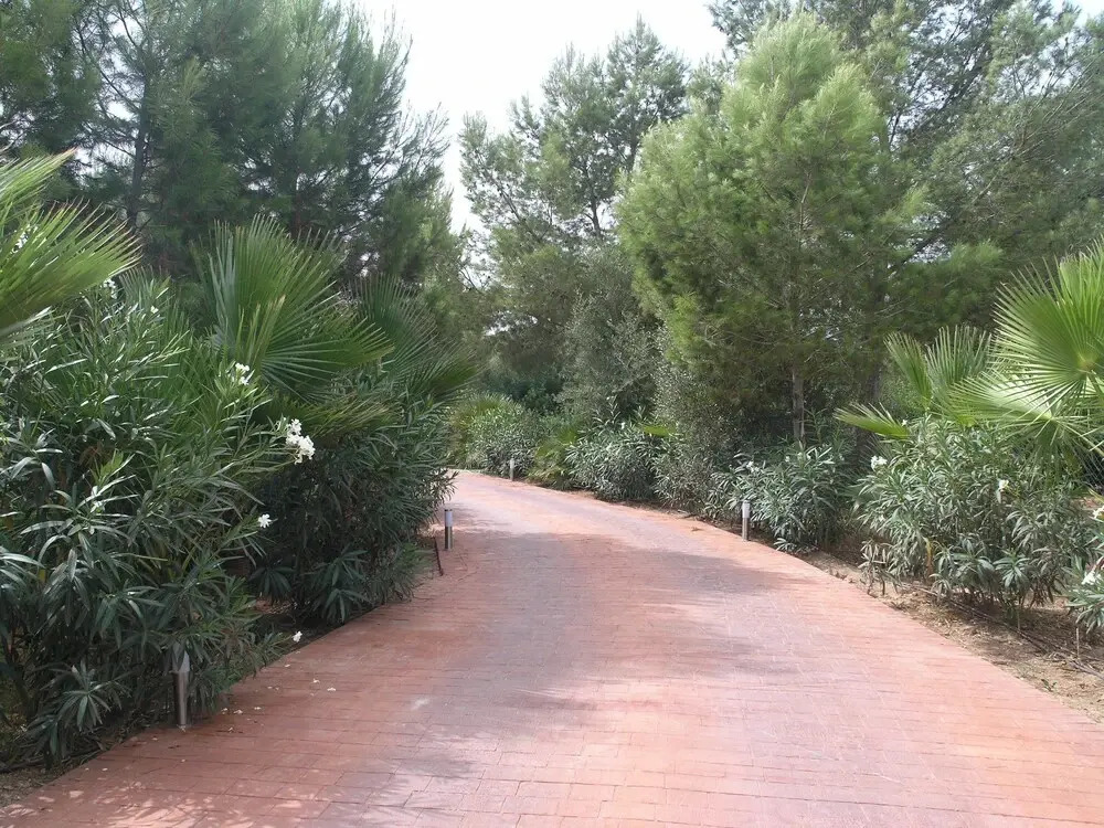 Villa Son Menusset, Piscina privada, WiFi, Sabor a Naturaleza