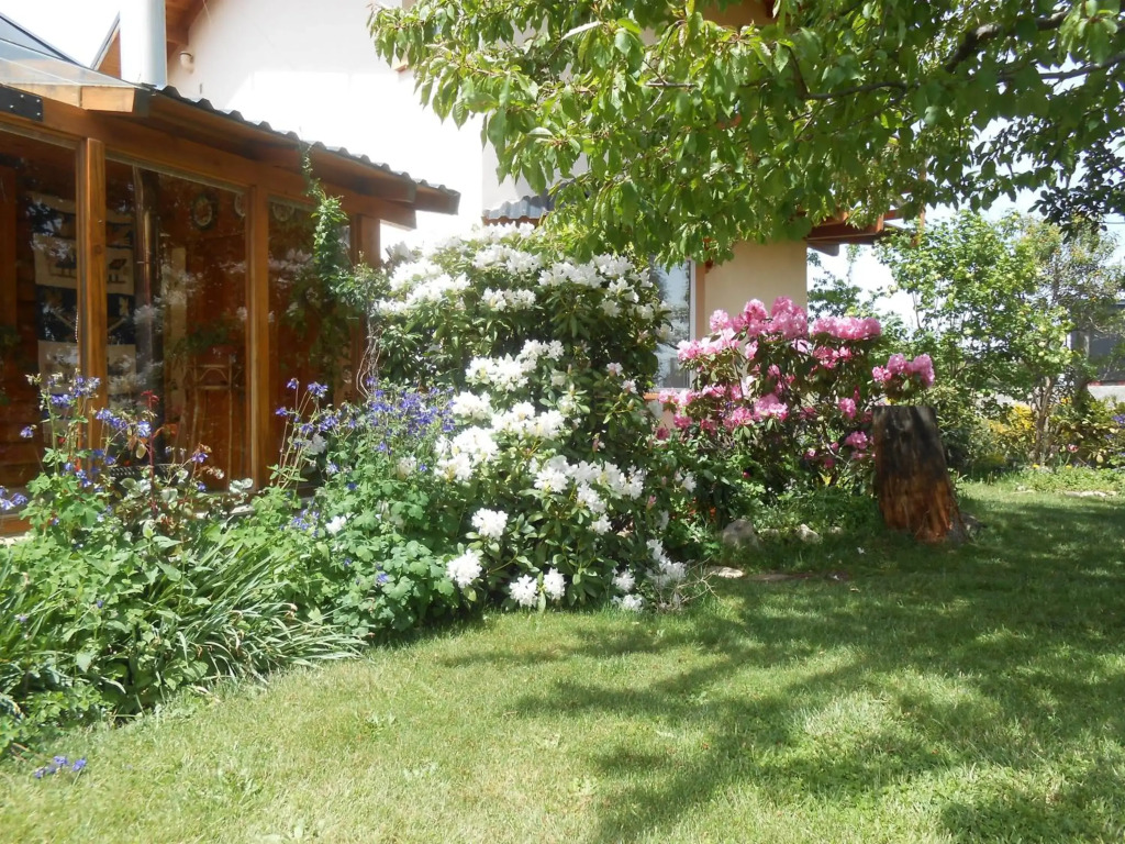 Montalto II