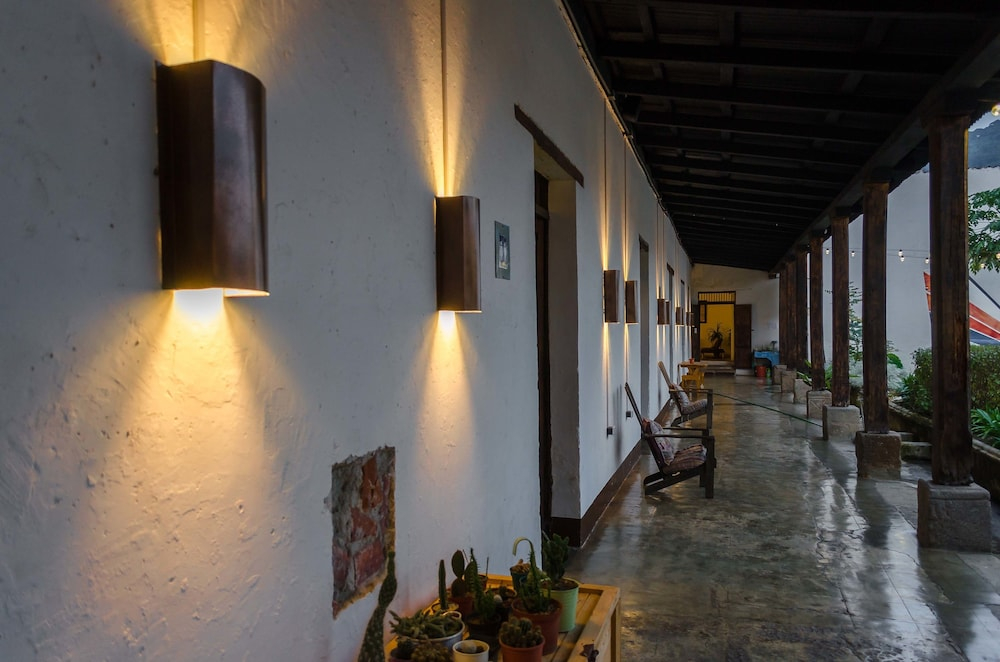 Lemon Tree Hostel