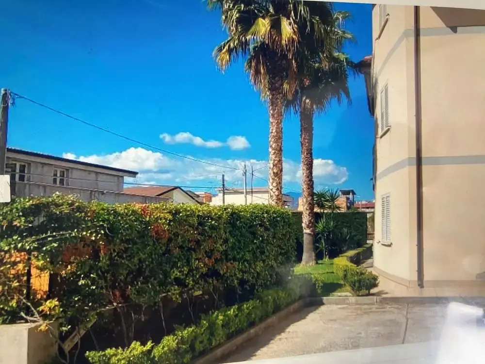 Apartment Sleeps 4 With Pool-pet & Family Friendly
