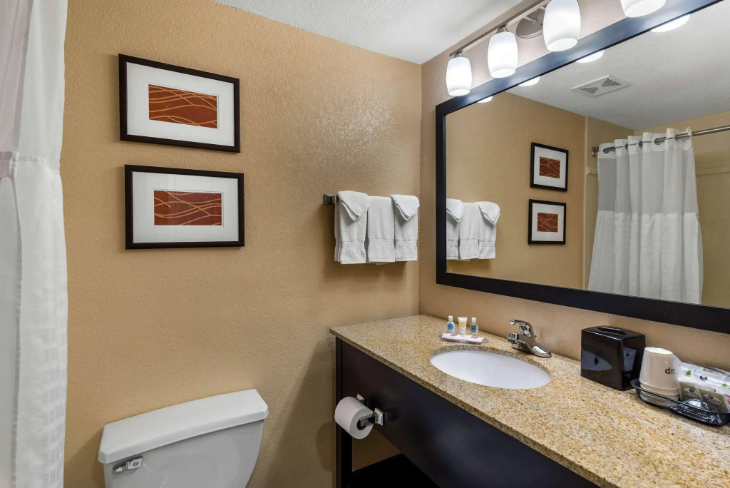 Comfort Inn & Suites Peachtree Corners - Norcross